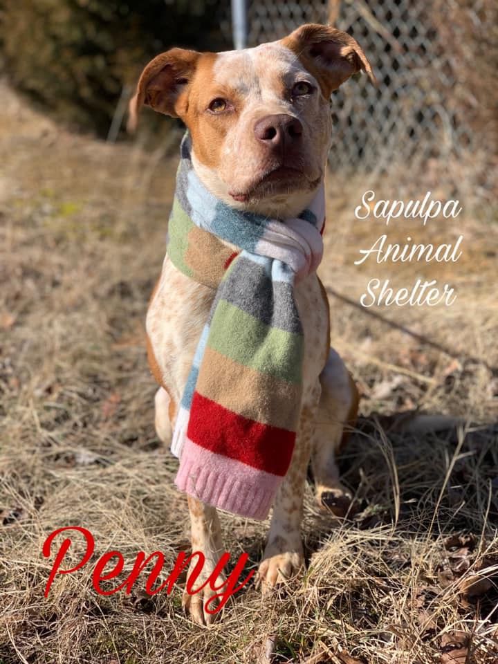 Penny
